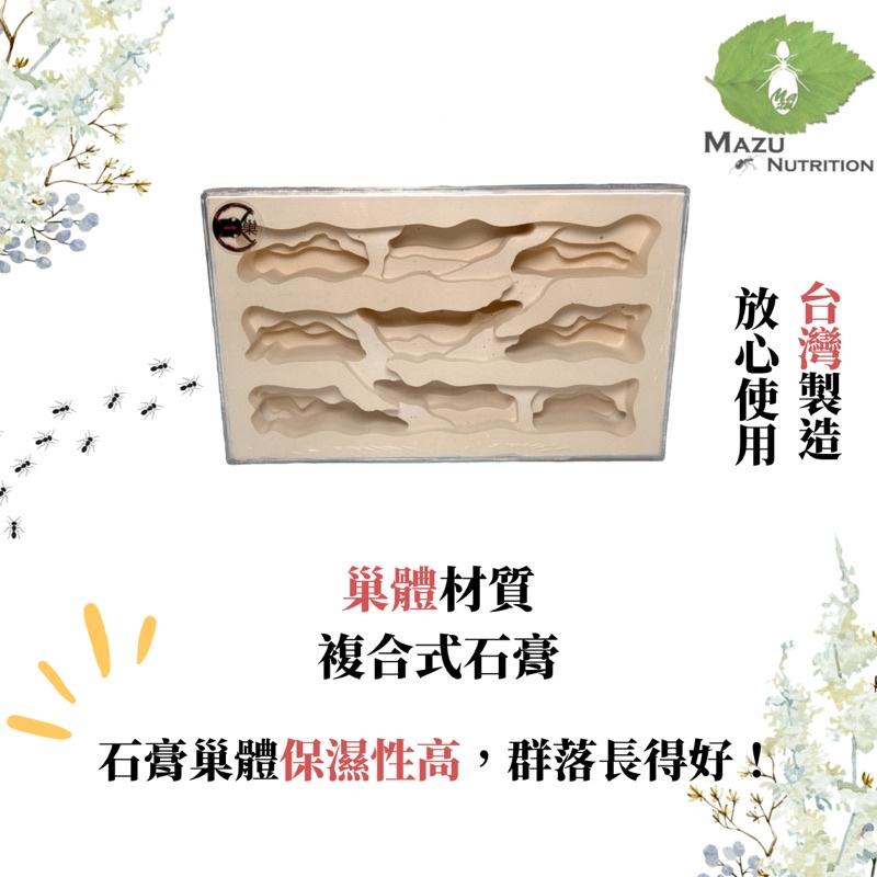E:巢洞穴系列 400GB密閉石膏巢/養螞蟻/螞蟻巢/螞蟻飼料-細節圖3