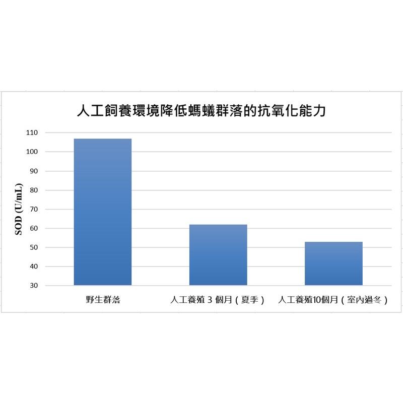 Mazu 優化抗氧化能力螞蟻專用蜂蜜（額外添加Vitamin E、Selenium）（養螞蟻、螞蟻飼料、螞蟻巢）-細節圖2