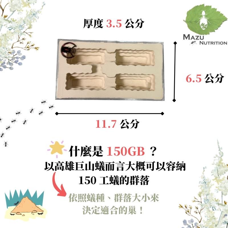 E:巢階梯系列 150GB 密閉石膏巢/養螞蟻/螞蟻巢/螞蟻飼料-細節圖2