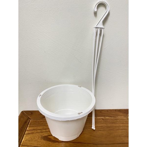 白色吊盆 6寸吊盆 含吊鉤-細節圖2
