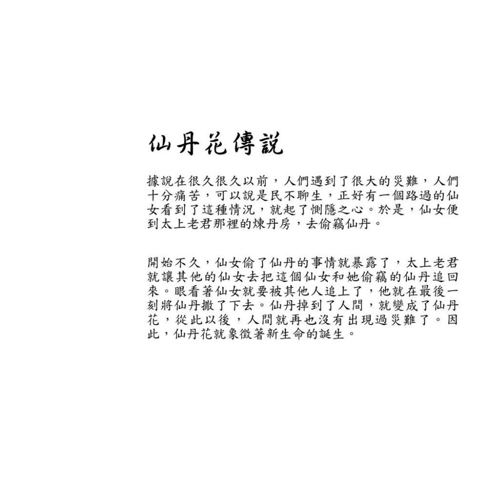 仙丹花 2.5寸盆 山丹花 龍船花 花語：團結、早生貴子、獲得新生-細節圖6