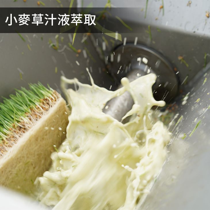 天然小麥麥芽膏 （400g）麥芽寡糖 古法麥芽膏 古早味麥芽餅 送禮推薦 黑麥芽 麥芽牛奶 小農產地直送-細節圖4