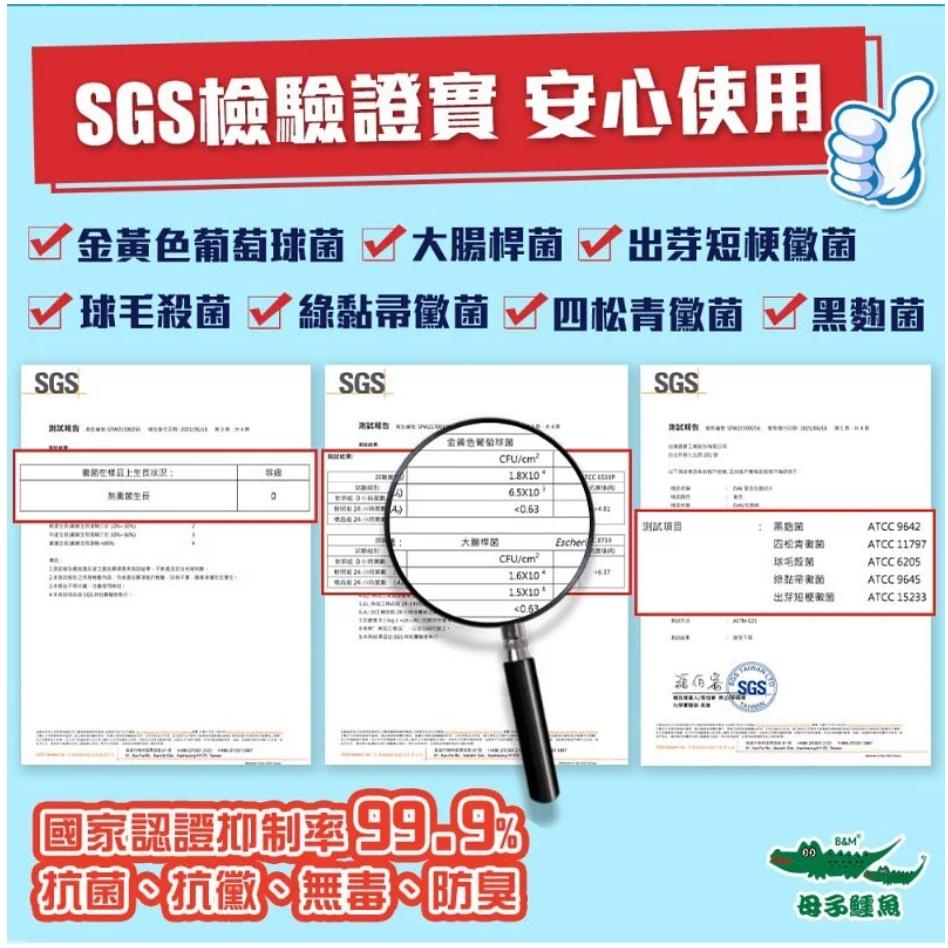 現貨當日可出貨☆超人氣運動☆母子鱷魚.BCU5206抗菌蚵技水陸洞洞鞋穆勒鞋樂福鞋懶人鞋.多色-細節圖9