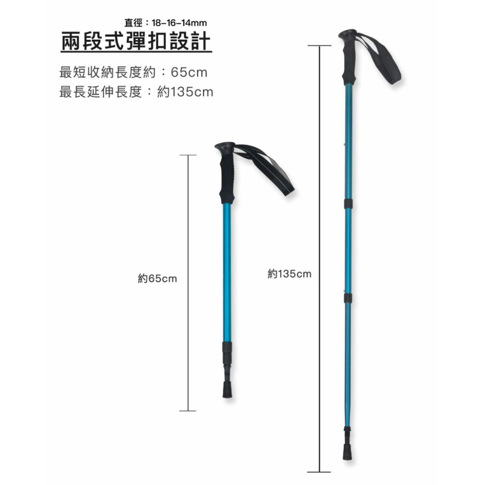 嘉義實體門市.亞伯特 AL031 入門彈扣款登山杖-單支入-細節圖2