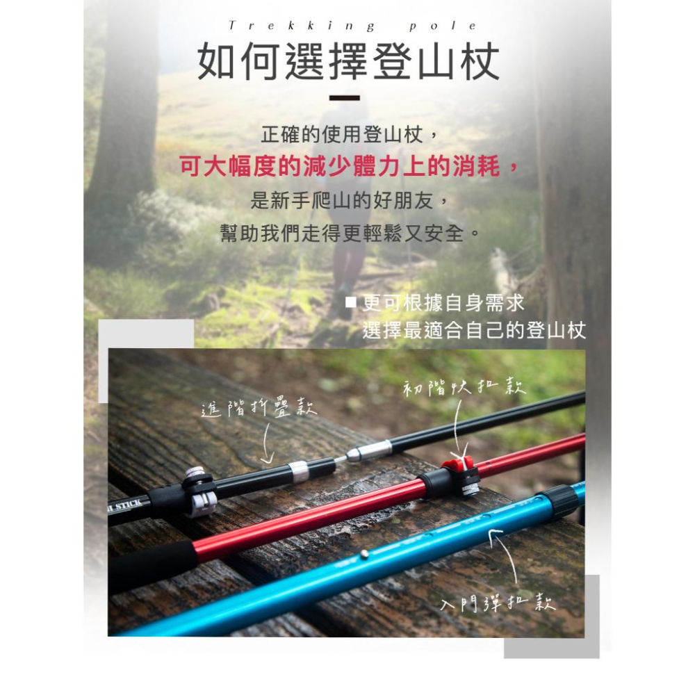 嘉義實體門市.亞伯特 AL031 入門彈扣款登山杖-單支入-細節圖5