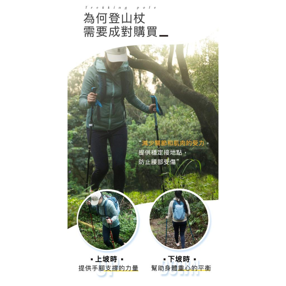 嘉義實體門市.亞伯特 AL031 入門彈扣款登山杖-單支入-細節圖6