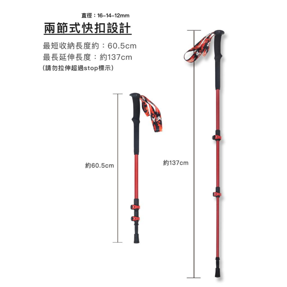 嘉義實體門市.亞伯特 AL033 初階快扣款登山杖-單支入-細節圖2
