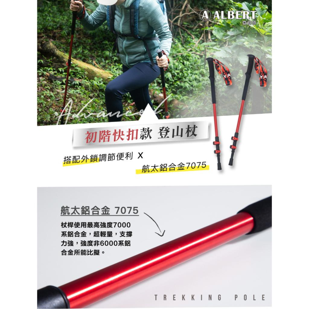 嘉義實體門市.亞伯特 AL033 初階快扣款登山杖-單支入-細節圖6