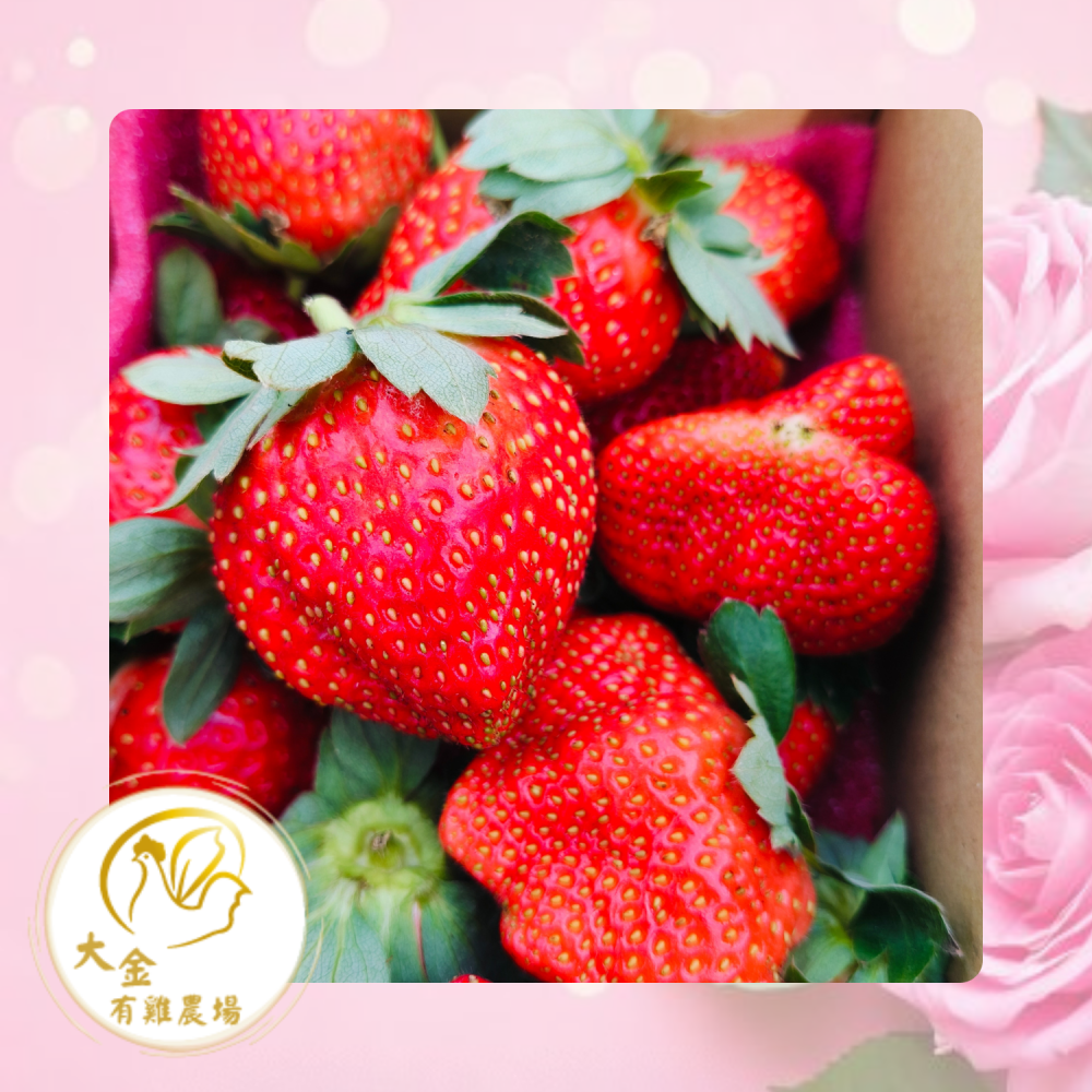 【大金有雞農場】 草莓香腸  酸甜果香 Q彈多汁  獨家創意風味 12條/包-細節圖3