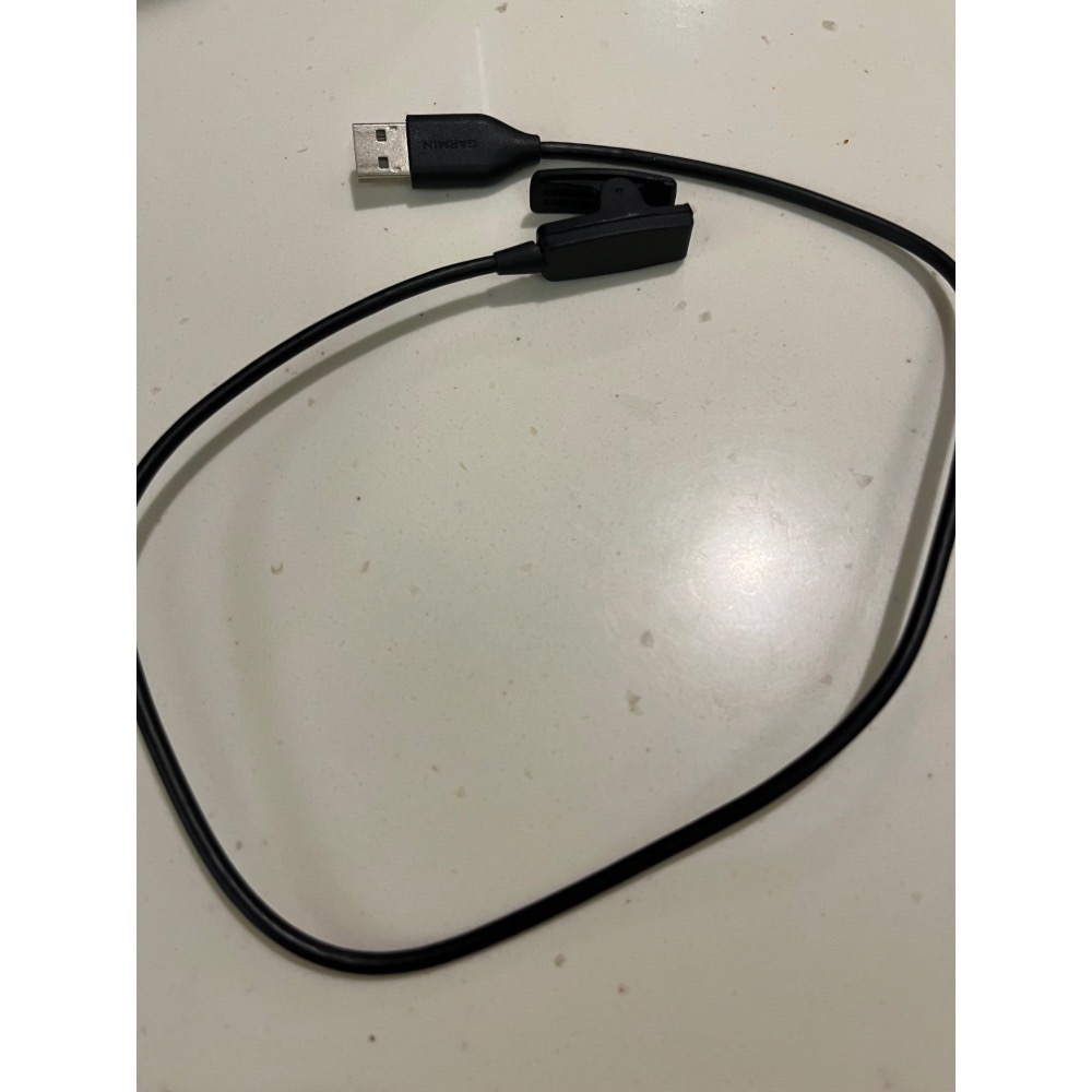Garmin Lily2 充電線+錶帶轉軸-細節圖2