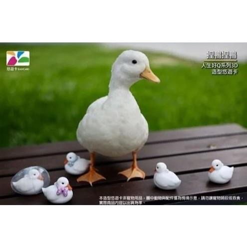 人生好Q系列3D造型悠遊卡-捏鴨捏鴨 鴨子悠遊卡 鴨鴨悠遊卡-細節圖3