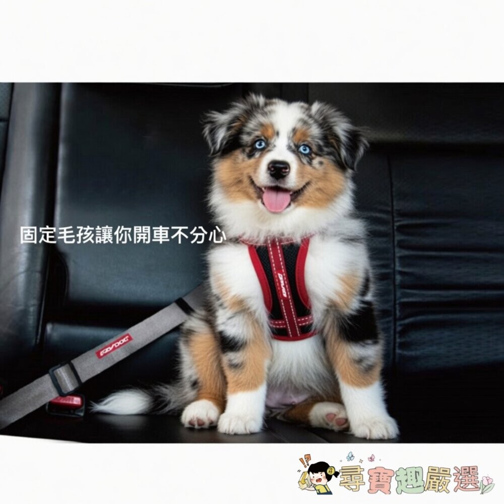 Ezydog 寵物車用安全帶, 黑色, 1條現貨-細節圖2
