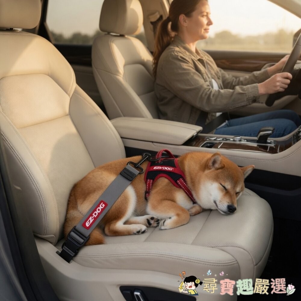 Ezydog 寵物車用安全帶, 黑色, 1條現貨-細節圖3
