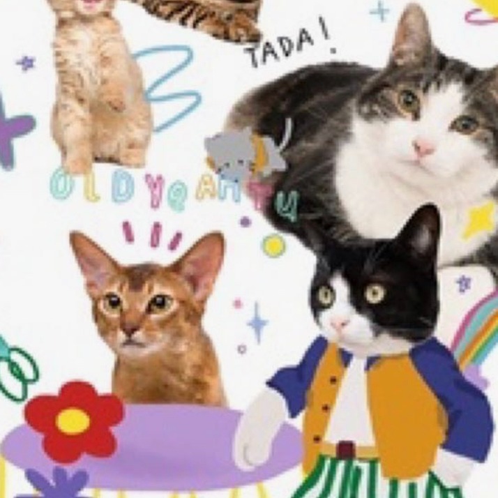 [OLDYEAHTU] 服飾 短袖 泰國品牌 女生上衣 泰國代購 衣服 泰國 偷偷摸摸 🐢-細節圖3