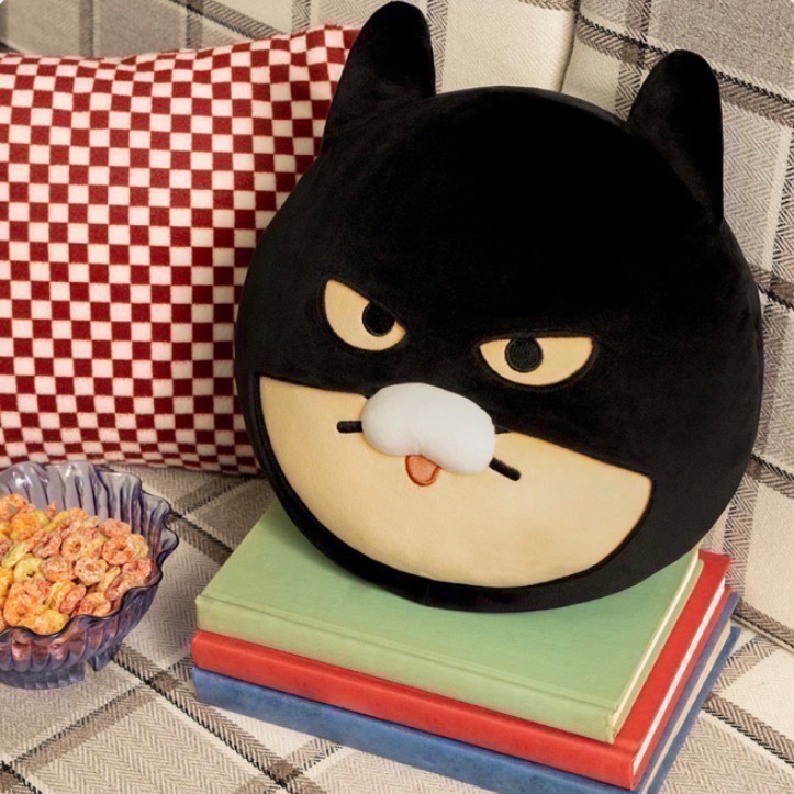 [KAKAO FRIENDS] DC DC聯名 萊恩 春植 蝙蝠俠 韓國代購 韓國 超人 超人萊恩 偷偷摸摸🐢-細節圖8