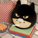 [KAKAO FRIENDS] DC DC聯名 萊恩 春植 蝙蝠俠 韓國代購 韓國 超人 超人萊恩 偷偷摸摸🐢-規格圖11