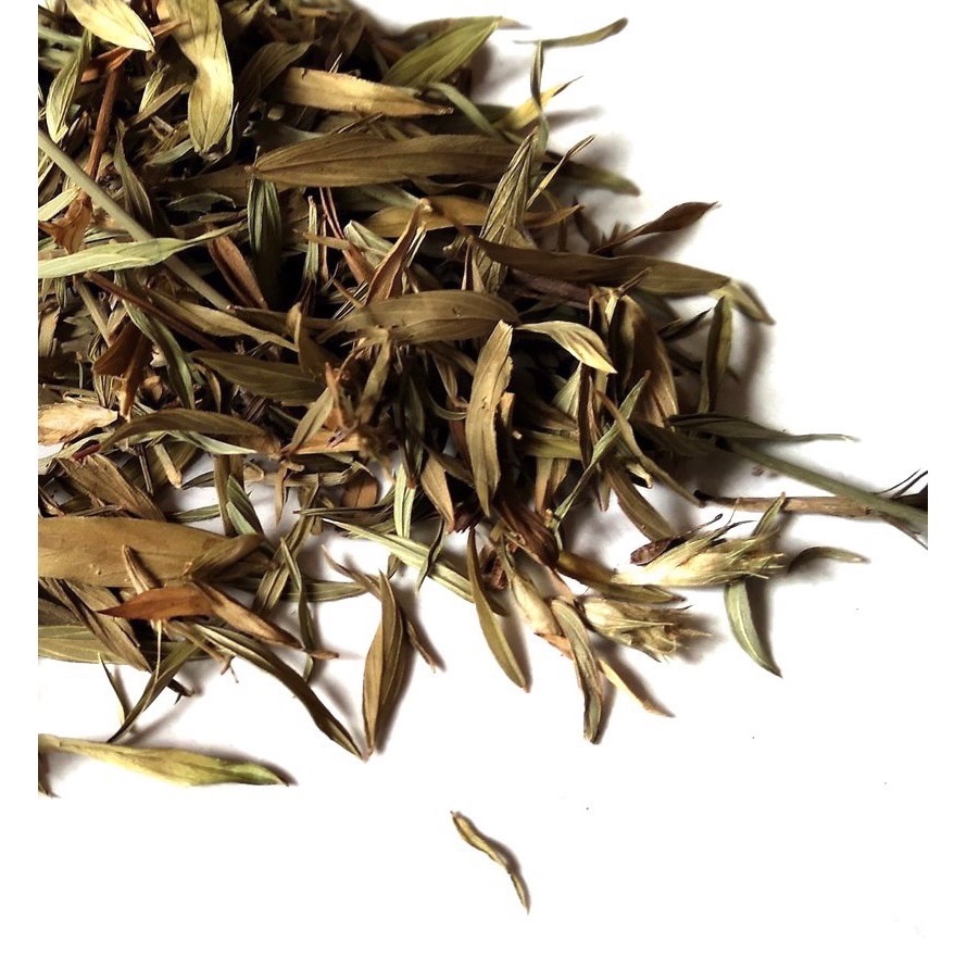 🧩闊葉丁葵 薩滿推薦-細節圖2