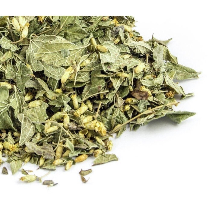 🌠 CALEA Z 夢境草（Calea Zacatechichi）20g  甜夢草-細節圖2