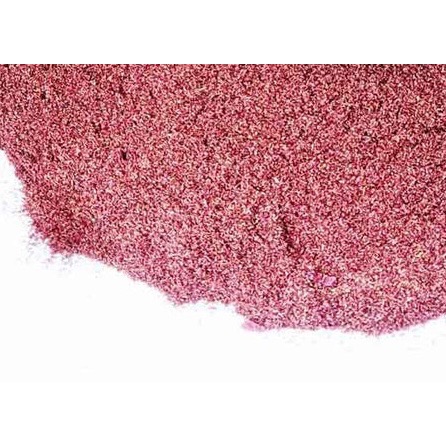 🌺 Red  lotus 埃及紅睡蓮 紅蓮花 10g-細節圖5