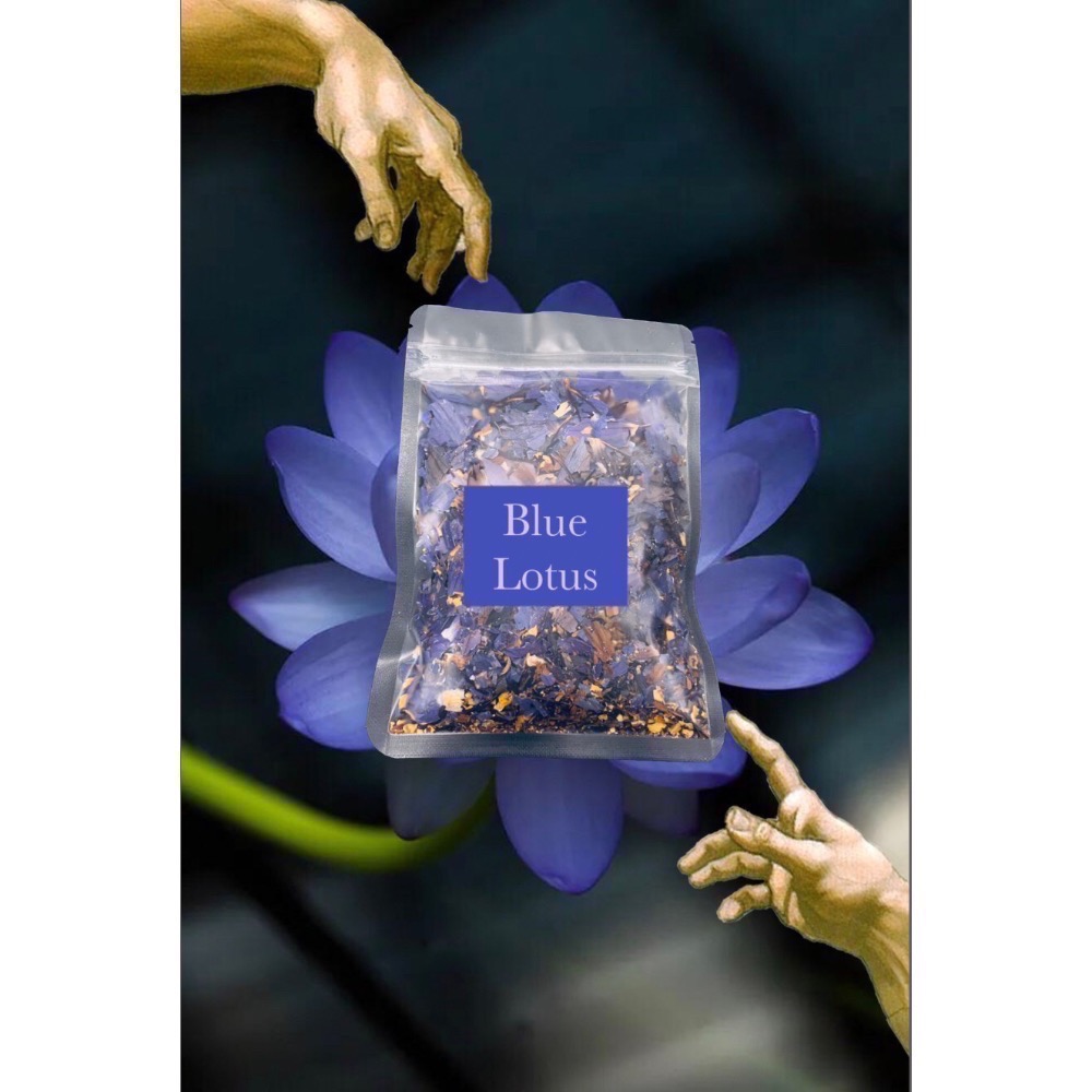 🦋Blue lotus 埃及藍睡蓮 藍蓮花