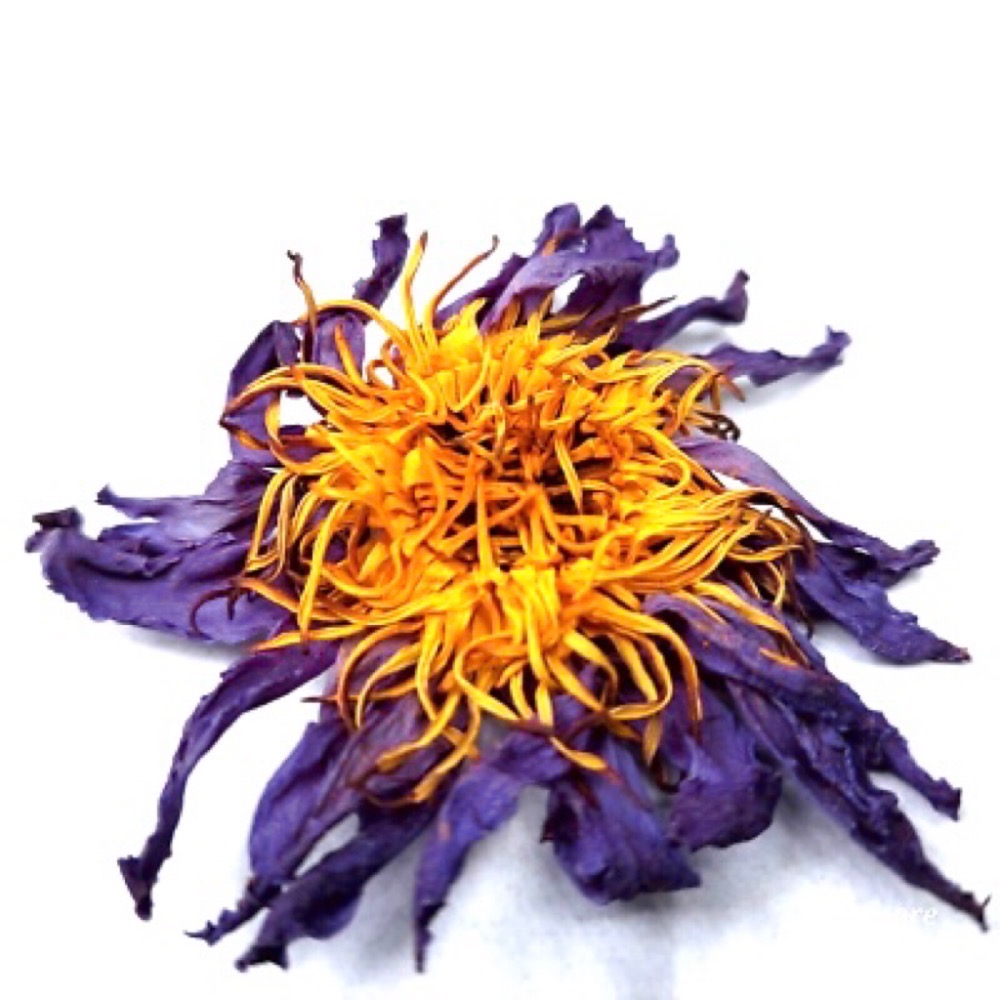 🦋Blue lotus 埃及藍睡蓮 藍蓮花-規格圖7