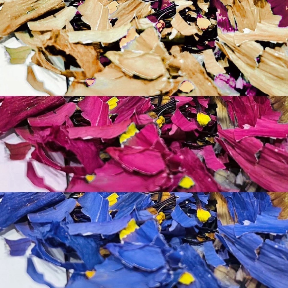 （綜合）紅白藍原花