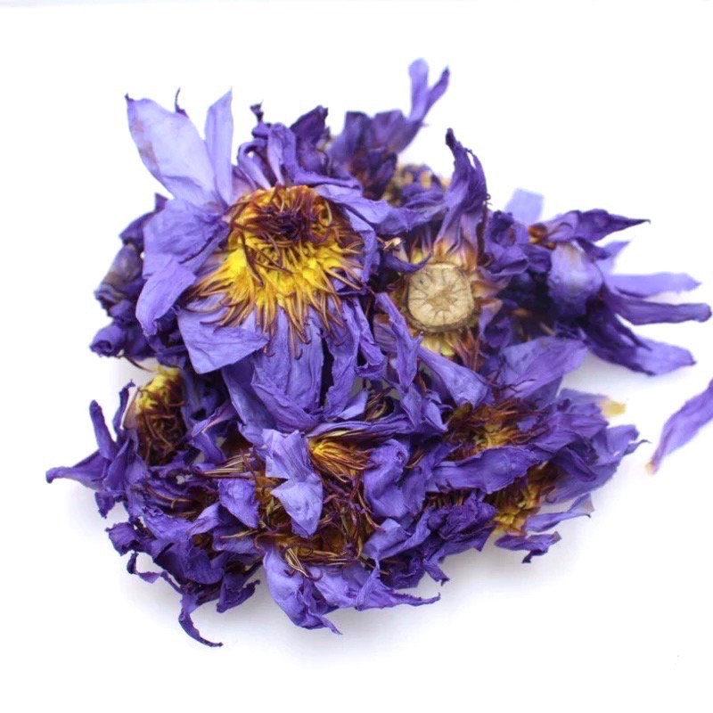 (大朵）藍蓮花10g