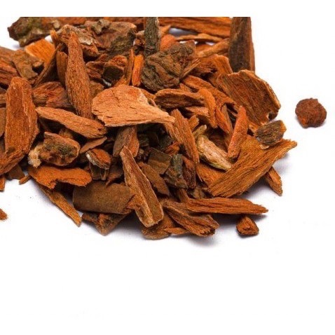 🪵Cinchona 雞納樹-細節圖3