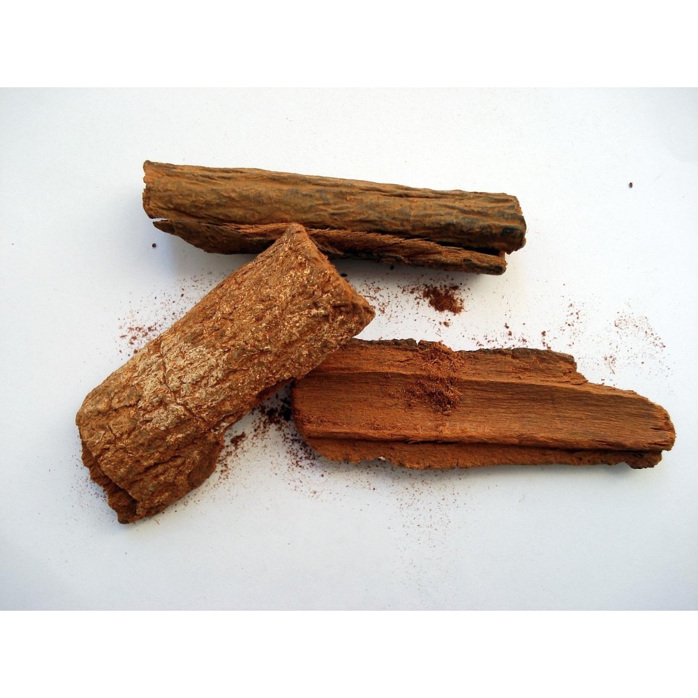 🪵Cinchona 雞納樹-細節圖5