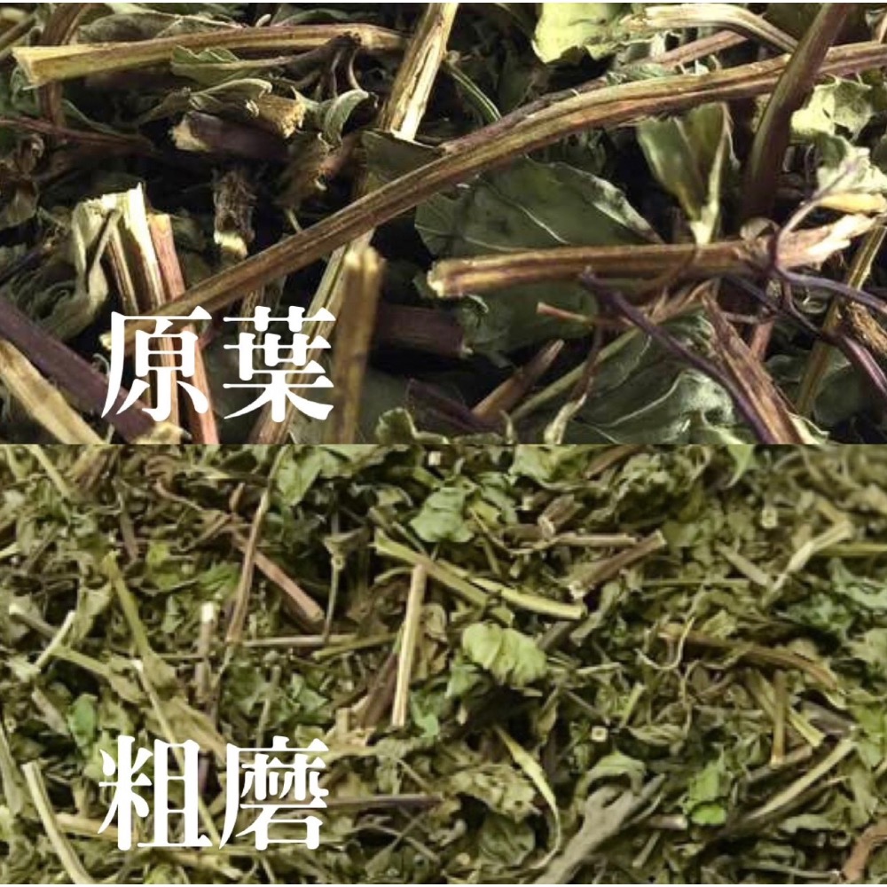 🍃Mint 薄荷碎-細節圖2