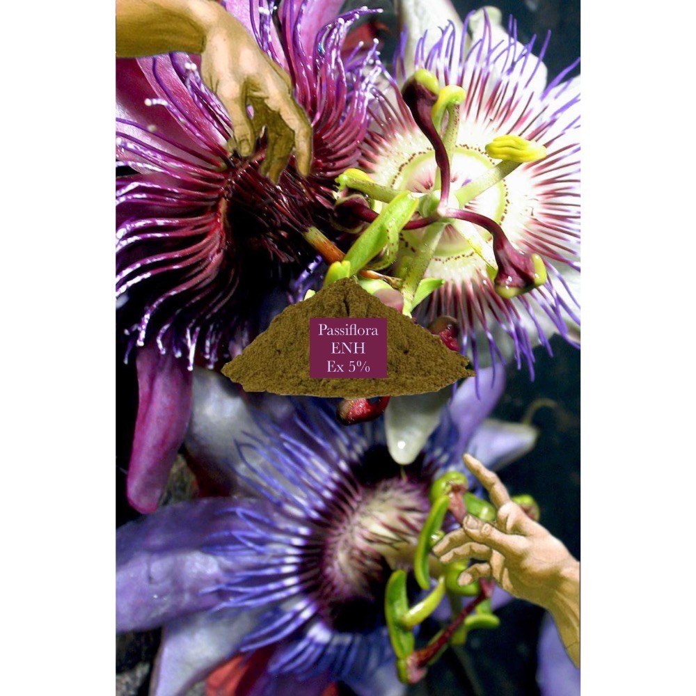 🧘🏻Passifloa  （Passiflora edulis）西番蓮-細節圖6