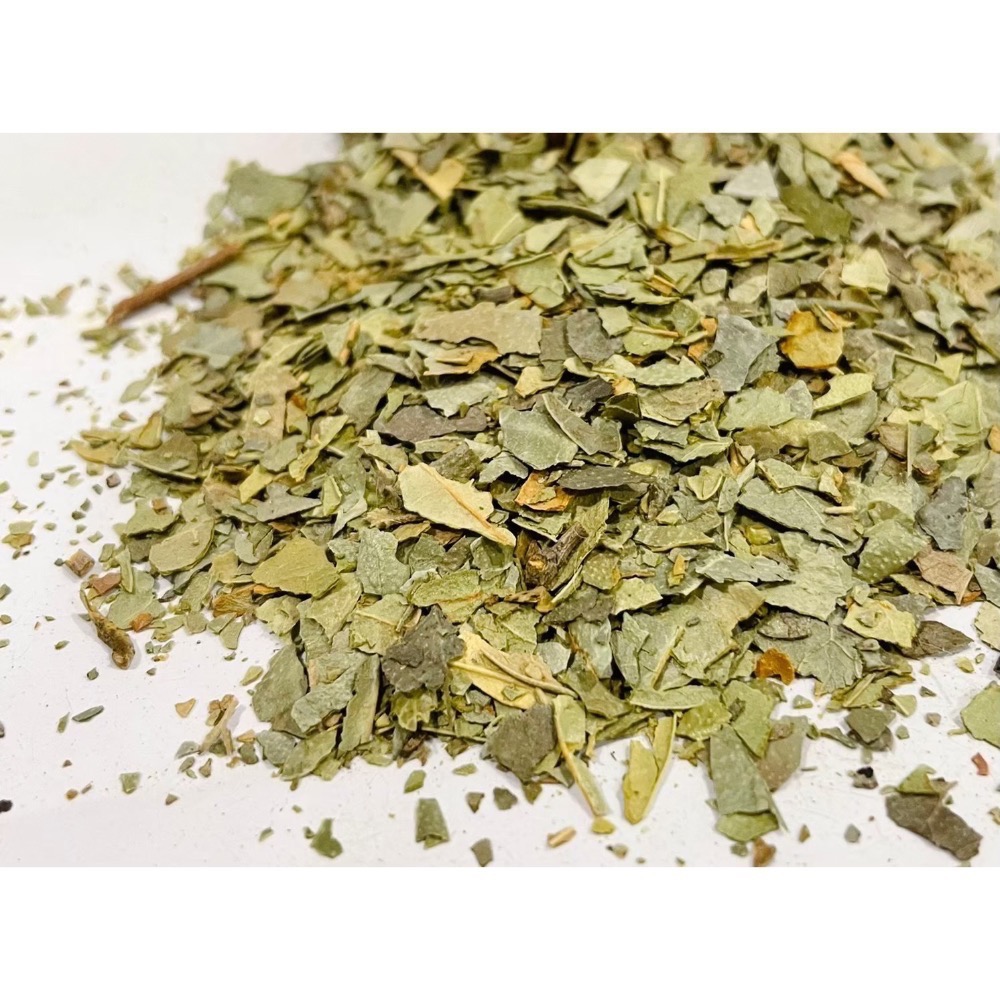 💧Borago officinalis琉璃苣-細節圖3