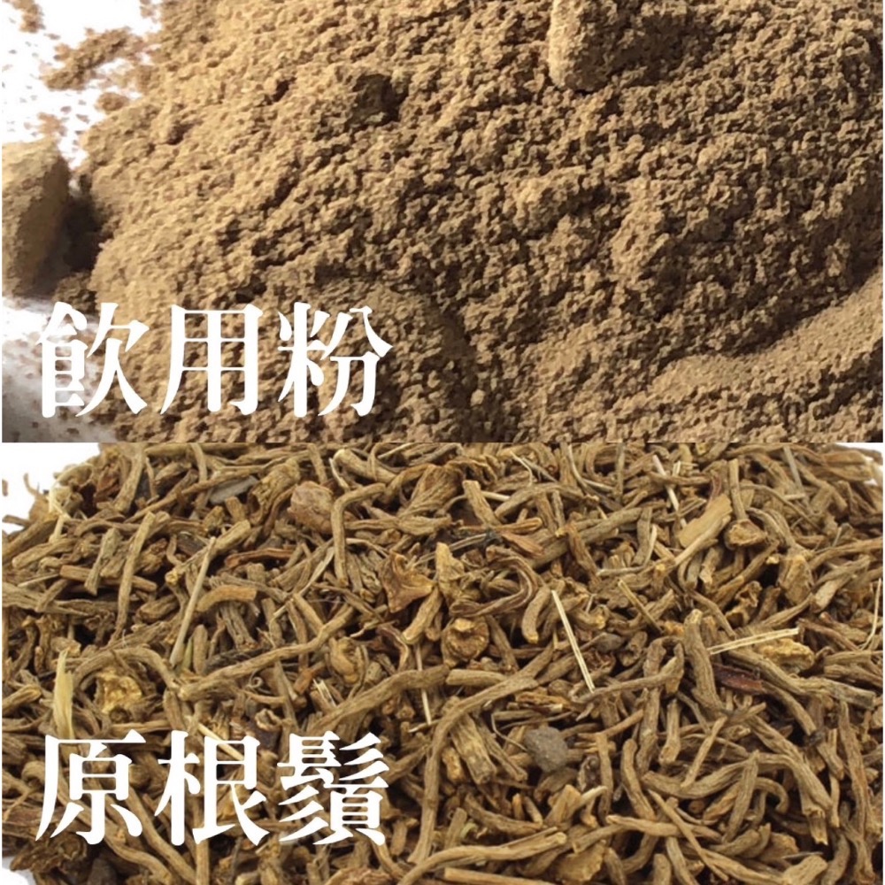 😴Valeriana officinalis 纈草 （Valerian Root）-細節圖2