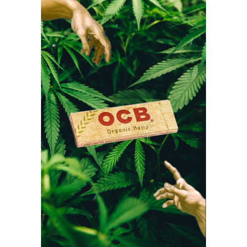 OCB 捲菸紙🌪️ 法國進口 手捲菸紙 未漂白有機麻 一包50入
