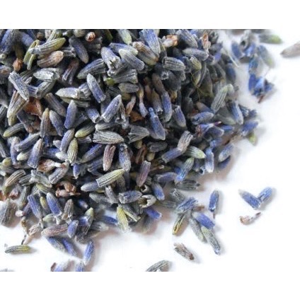 🇩🇪 Lavandula Germany 德國薰衣草 芬芳 有機-細節圖2