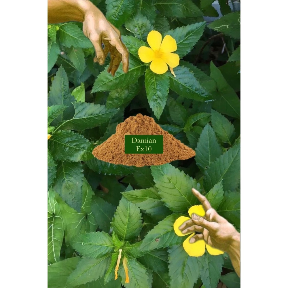 💚透納/達米阿那（Damiana）百倍濃縮-細節圖4