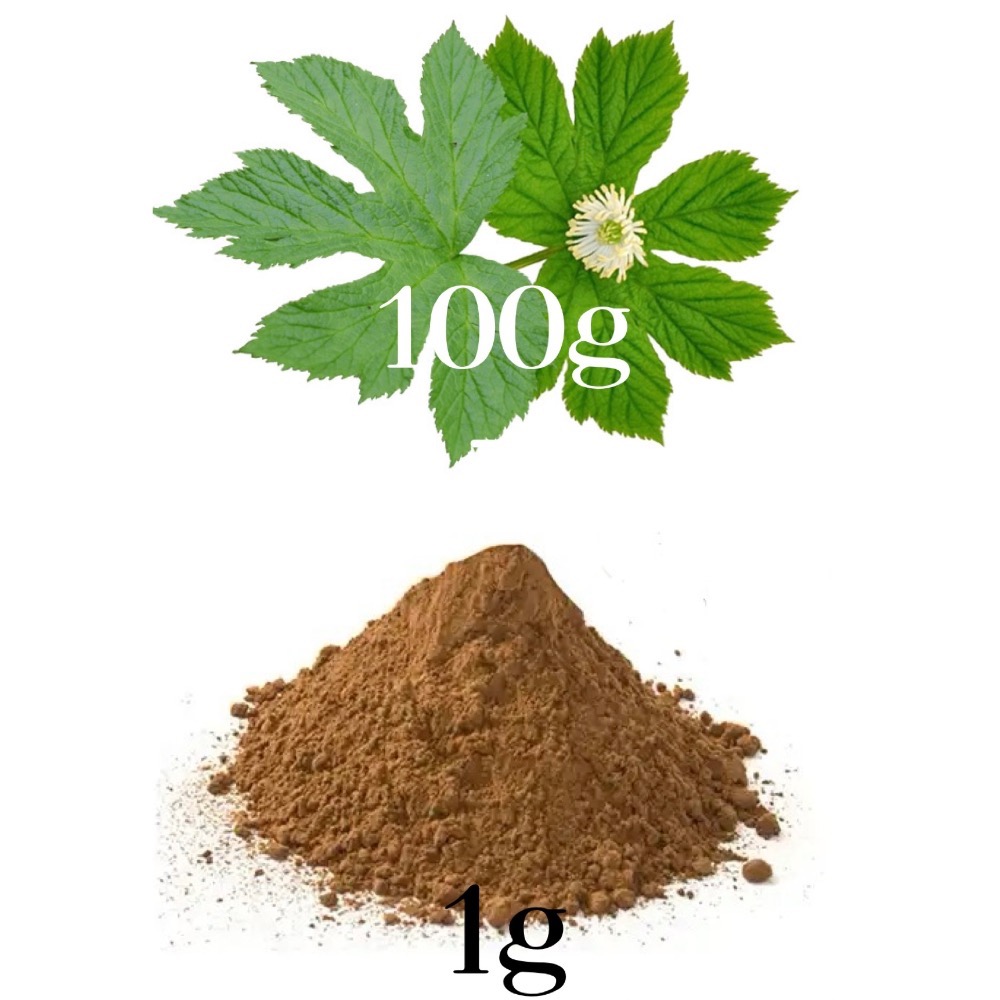 💛Goldenseal金印草 多用療癒草本 百倍濃縮-細節圖2