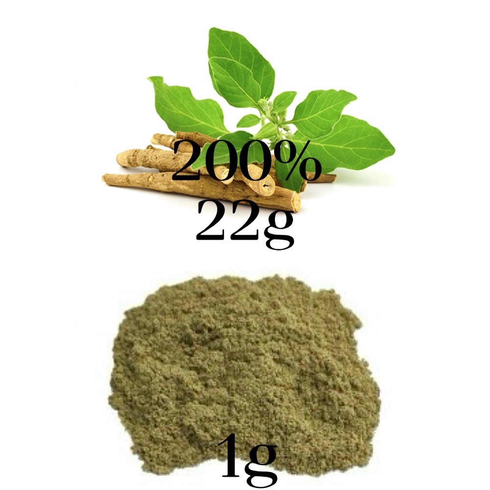 🍆 Ashwagandha南非醉茄 百倍濃縮-細節圖2