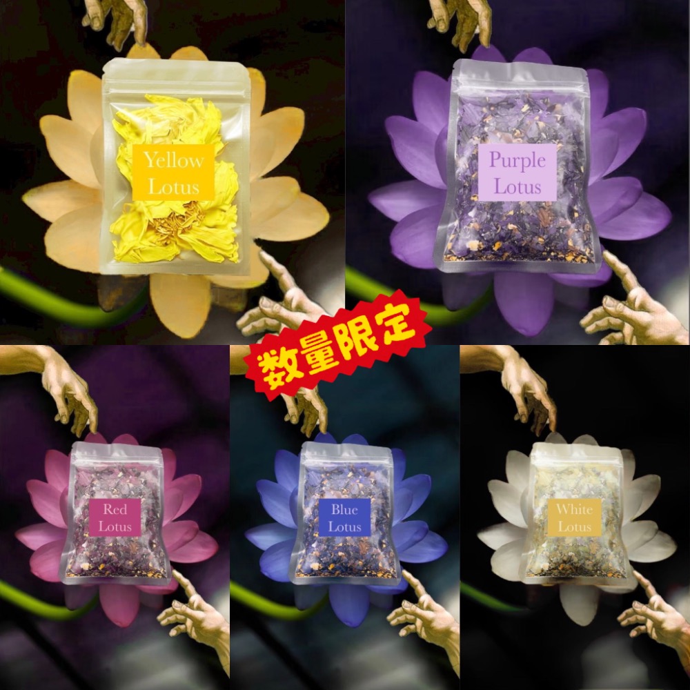🪷（超植蓮花組合）蓮花組合 全蓮花項禮盒-規格圖1