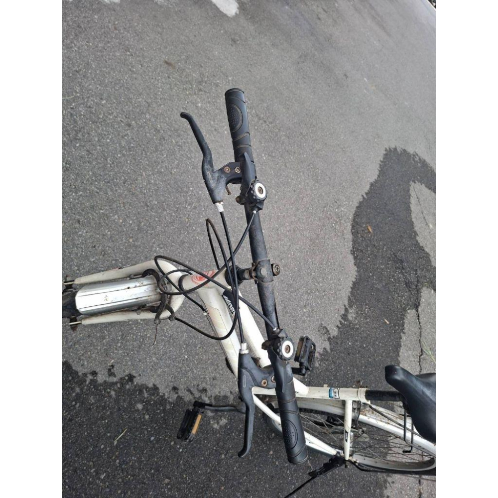 腳踏車腳踏車腳踏車腳踏車-細節圖9