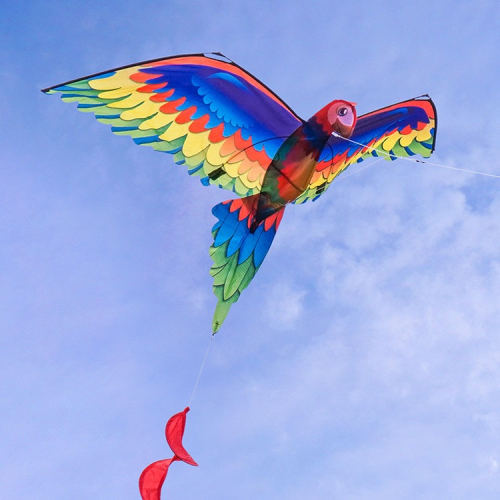 (台灣現貨)3D立體鸚鵡造型風箏(金剛鸚鵡)(140*230)(無法超商取貨)【888便利購】