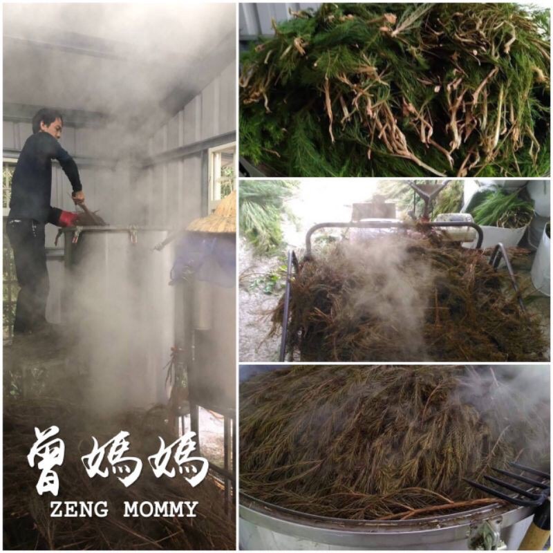 曾媽媽10ml精油 澳洲茶樹精油 /紅檜/黃檜/香杉/松針/薄荷/玫瑰草/薰衣草/檸檬/牛樟/洋甘菊/艾草/生薑 精油-細節圖2