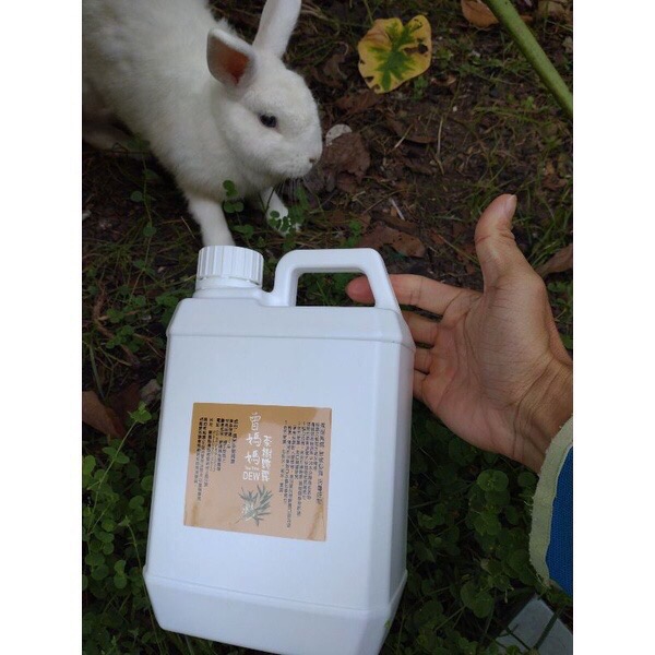 高純度澳洲茶樹純露 2公升/500ml（超商取貨最多兩瓶2公升）-細節圖4