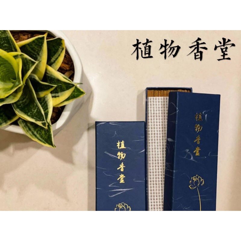 印度老山檀香臥香沈水根料 線香 天然線香 臥香（頂級香道級）20g管裝-細節圖2