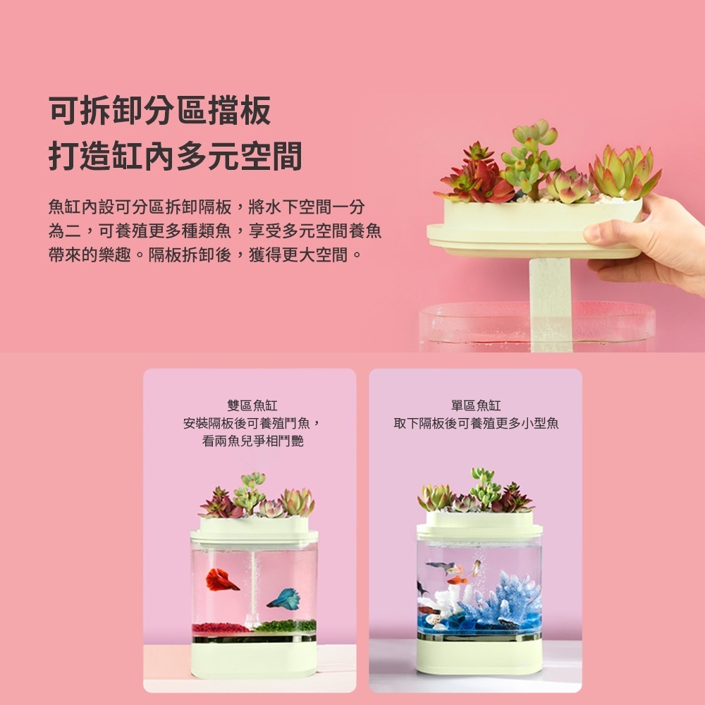 畫法幾何迷你懶人魚缸Pro 水族箱 低噪音 養魚 懶人魚缸 水族 桌面魚缸-細節圖2