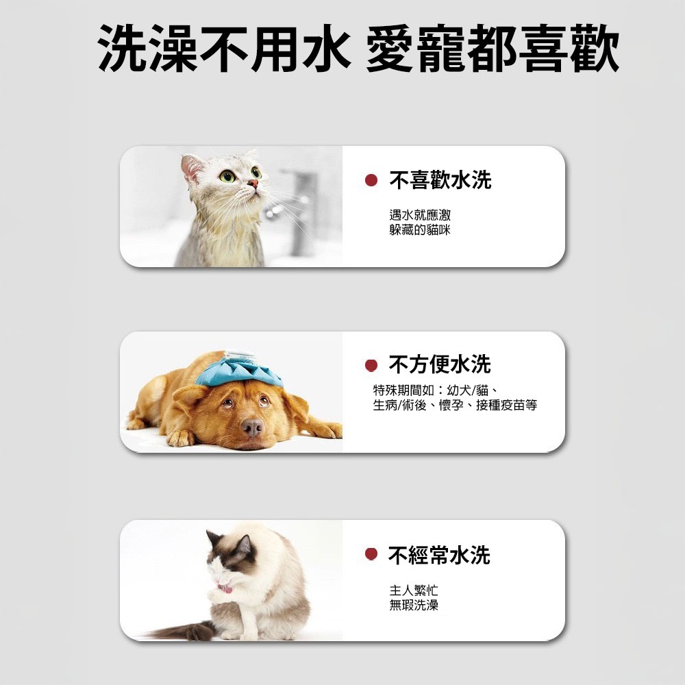 KOJIMA咖家 寵物免洗5指SPA手套濕巾 寵物清潔手套 貓狗用品 免洗澡 清潔用品 乾洗用品 擦屁股 狗狗洗腳 乾洗-細節圖3