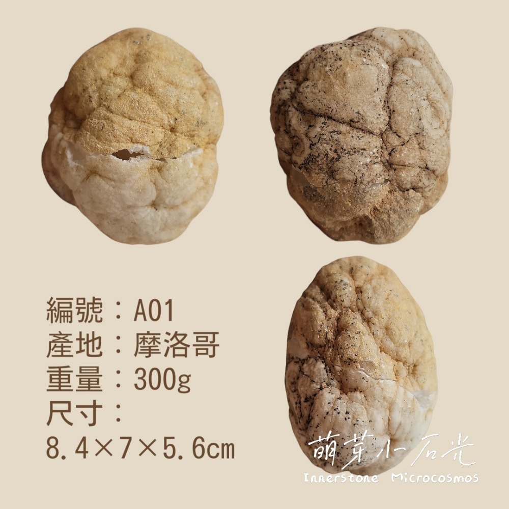 【萌芽小石光】A01-白冰透白水牙/摩洛哥白水晶原石/水晶礦石-細節圖7