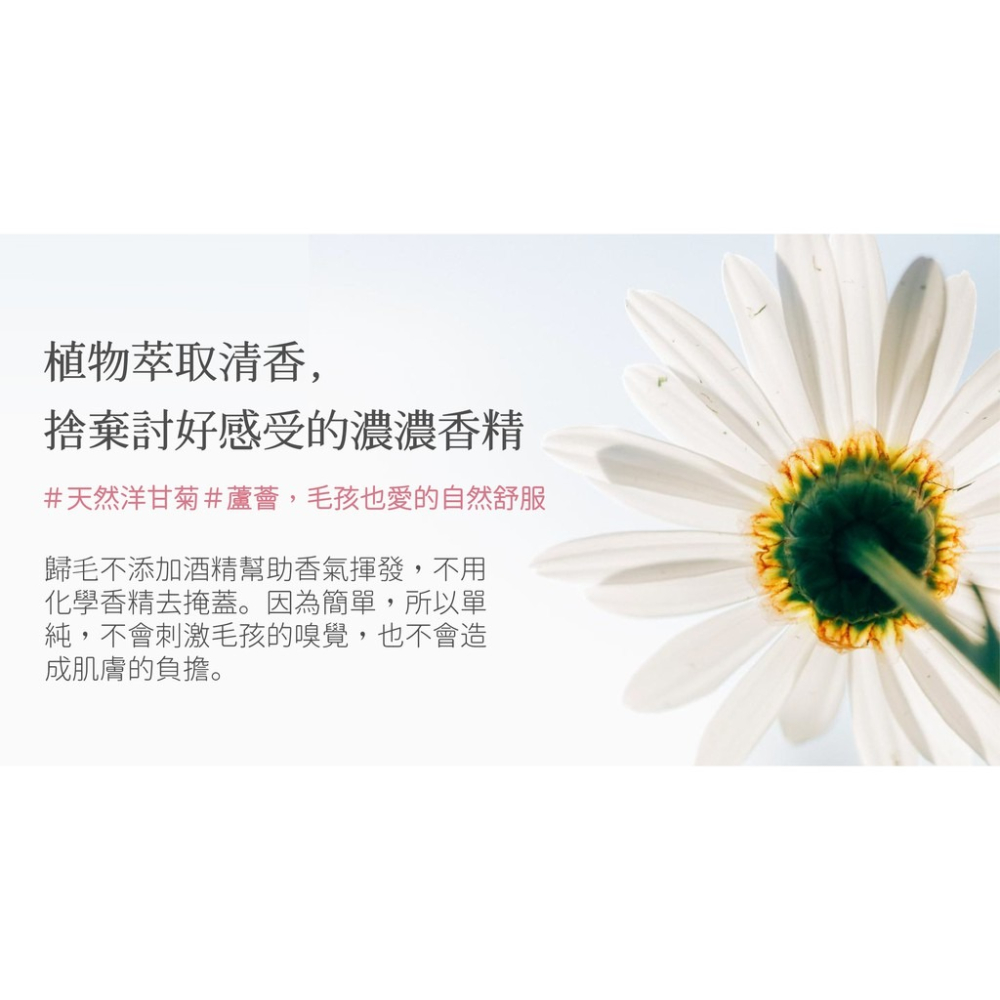 【GoodMo歸毛家族】SSC舒敏洗毛精 (洋甘菊&蘆薈) 500ml/300ml 免運-細節圖5