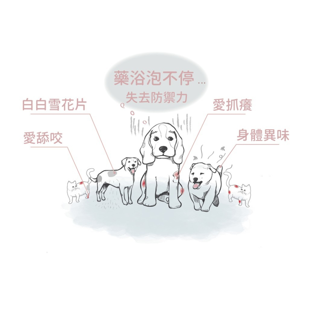 【Goodmo 歸毛家族】 護膚噴液*2&精萃營養霜*2+300ml舒敏洗毛乳*1 免運-細節圖5