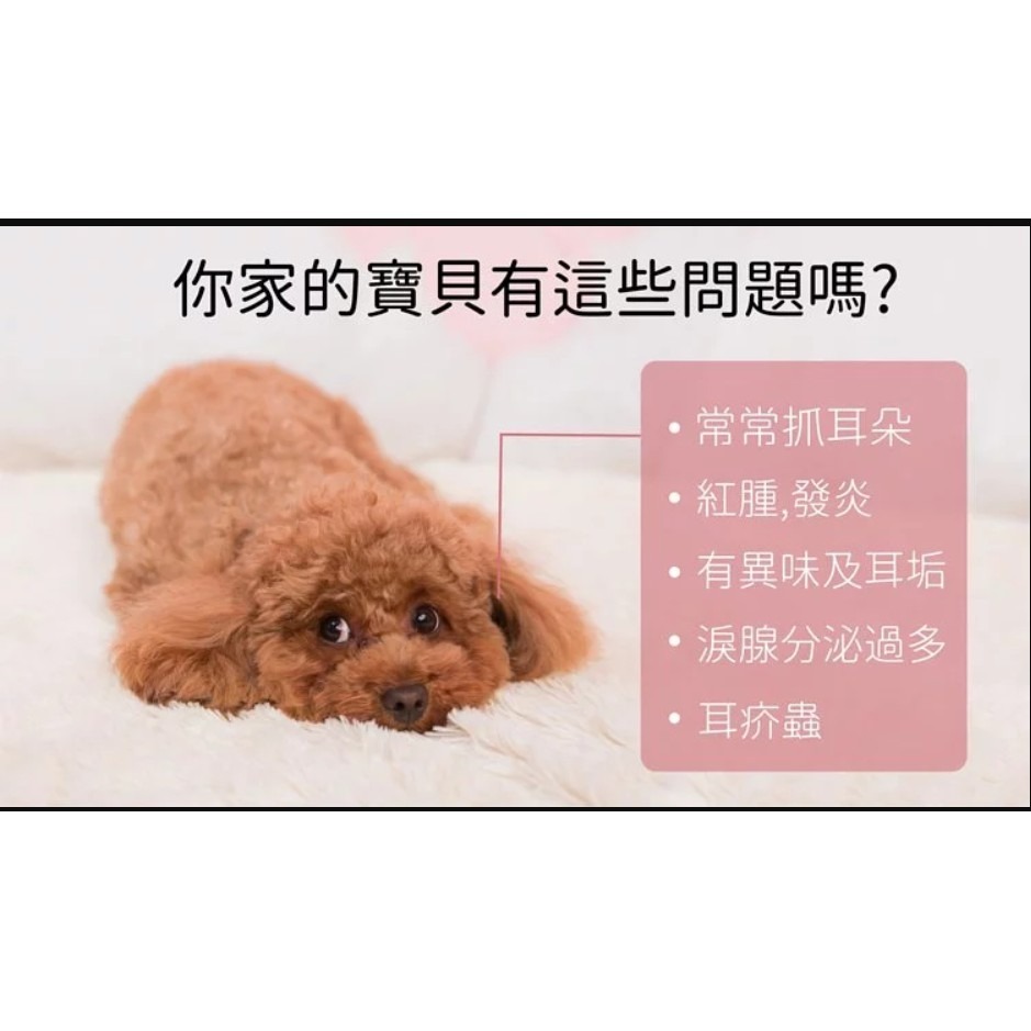 【Goodmo 歸毛家族】萌耳液150ml-細節圖4